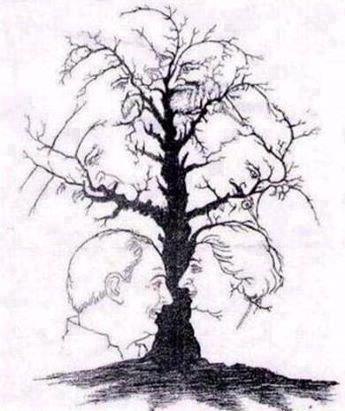 545025 348484385259457 1142652273 n How Many Faces Do You See?