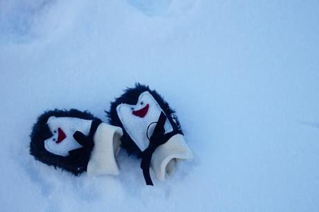 a penguin lover (penguin mittens DIY).hello there, we hav...