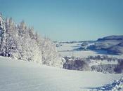 Winterwonderland.(embrace Camera)it Snowed Much Th...