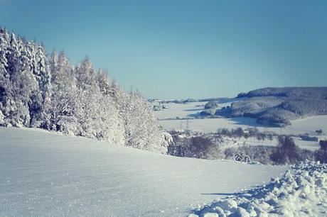 winterwonderland.(embrace the camera)it snowed so much th...