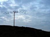 43/365 There's Been Murder...