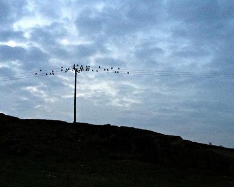 43/365 There's been a murder...