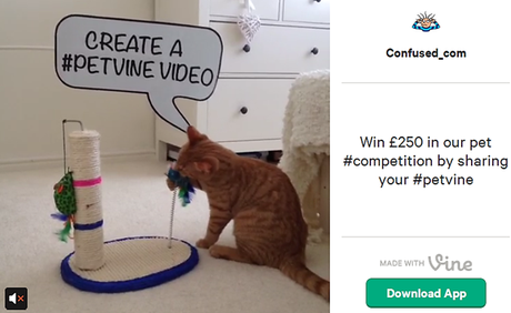 5 Ways Marketers Can Use Twitter’s Vine App to Drive Social Media ROI