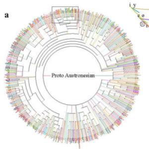 Scientists Create Automated ‘Time Machine’ to Reconstruct Ancient Languages