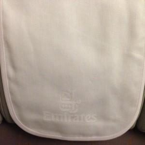 Emirates_Airlines_Business_Duabi_Mumbai6