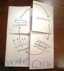 Science Workshop: The Water Cycle