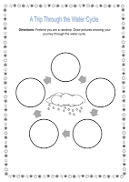 Science Workshop: The Water Cycle