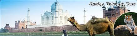 India Golden Triangle Tour filled with excitement and pleasure