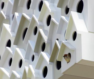 build | bird apartment treehouse