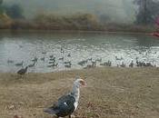 Spring Coming, Coming! Appreciate Nature with Your Children Right Neighborhood