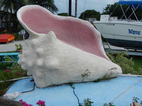 Giant Conch Shell