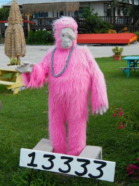 Road Trip Attractions Pink Gorilla