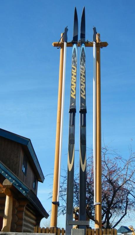 Giant Cross Country Skis