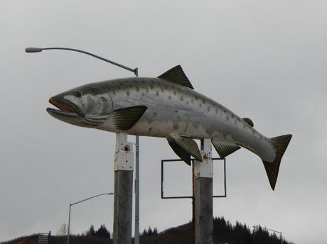 Giant  Salmon Valdez Ak