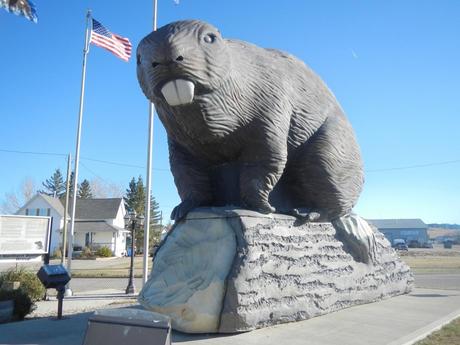 Beaver Statue Face