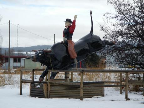 Houston Bull Rider