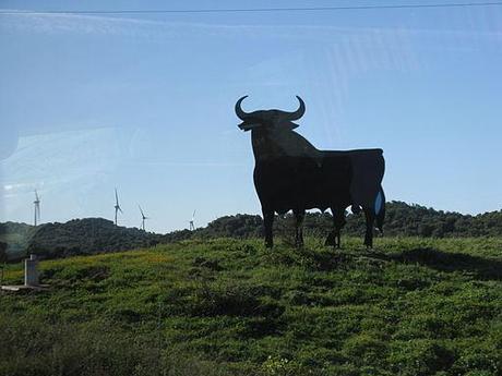 learn Spanish: Toros de Osborne sign-Spain