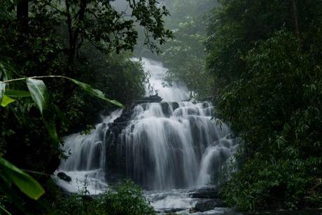 Waterfall at Gavi Rainforest, one of the bio-diversity hotspots in Asia, that is fast becoming an Ecotourist's haven. Image : http://changingworldtomorrow.blogspot.in