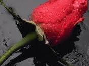 Happy Valentines Breathes Life into