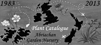 2013 Plant Catalogue - Now Online