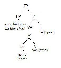 The structure of Japanese word order (Subject - Object - Verb)
