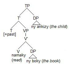 The structure of Malagasy word order (Verb - Object - Subject)