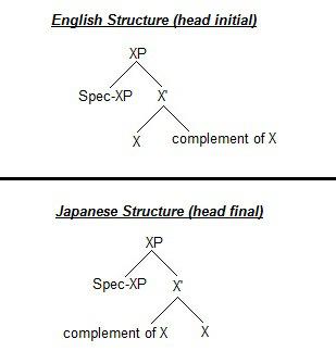 languagedna5