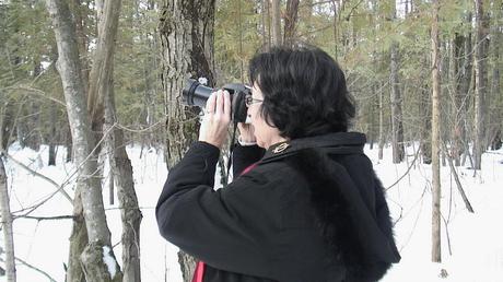 Great Grey Owl - Jean takes pictures in forest - Ottawa - Ontario - Canada - Frame To Frame - Bob & Jean picture