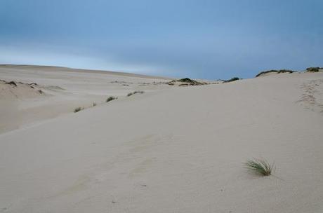 sand dunes near swan lake camp