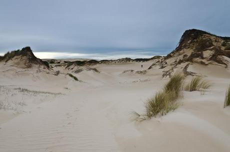 sand dunes near swan lake camp