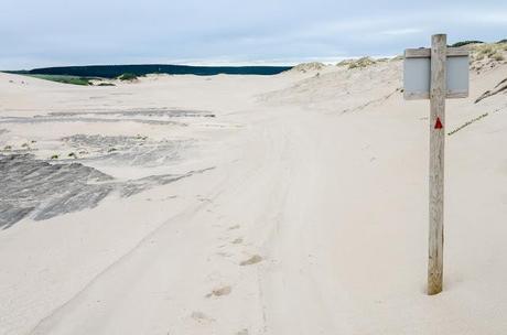 track marker amongst sand dunes