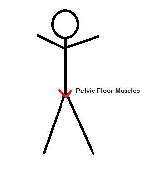 Stick figure drawing outlining the basic area of the pelvic floor.