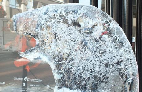 Ice sculptured Polar Bear head- Winterlude - Ottawa