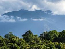 Pico Bonito National Park, Honduras