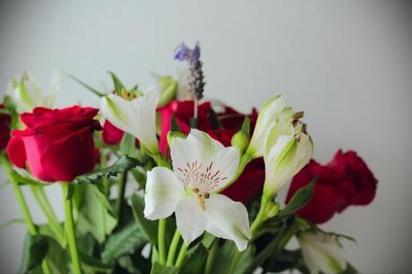 Valentine's Day, Flowers, Aldy Moyla copyright, photograph