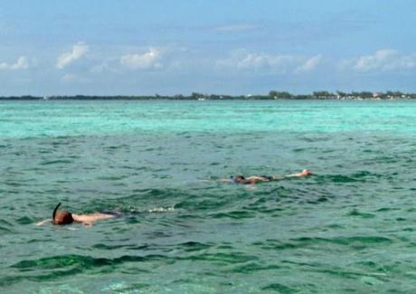 Caye Caulker Snorkling