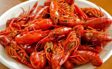 Crawfish, Crawdads, 