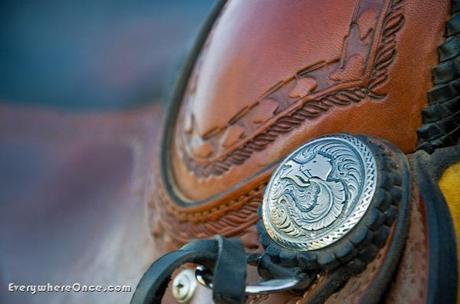 Custom Horse Saddle