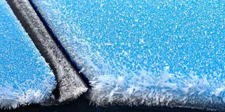 49/365 Iced to see you