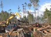 Tasmanian Activist Groups Expose Secret Logging Newly Nominated World Heritage Sites