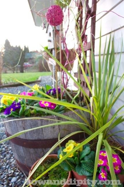 Spring containers