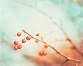 Winter Photography - berry branches orange holiday decor brown branch red berries print mint green white nature christmas - 8x10 Photograph - CarolynCochrane Winter Photography - berry branches orange holiday decor brown branch red berries print mint green white nature christmas - 8x10 Photograph - CarolynCochrane