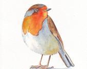 Robin Painting - bird print of watercolor painting - 5 by 7 print - Splodgepodge Robin Painting - bird print of watercolor painting - 5 by 7 print - Splodgepodge