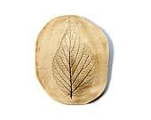 4.3x3.5 size clay picture with natural leaf imprint for home decoration - HerbsAndNature 4.3x3.5 size clay picture with natural leaf imprint for home decoration - HerbsAndNature
