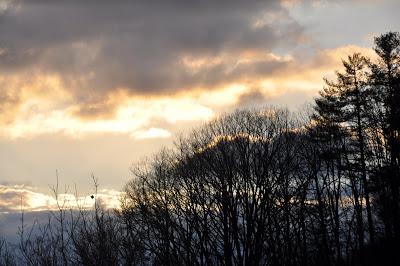 Morning After the Snow