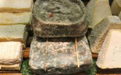 Moldy cheeses, only for gourmets at Les halles de Lyon, France