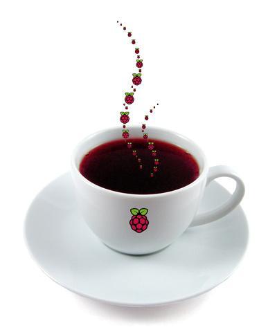 Raspberry Pi Cup