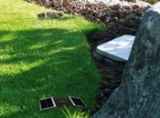 Improving Your Landscape Design with Solar Lights That