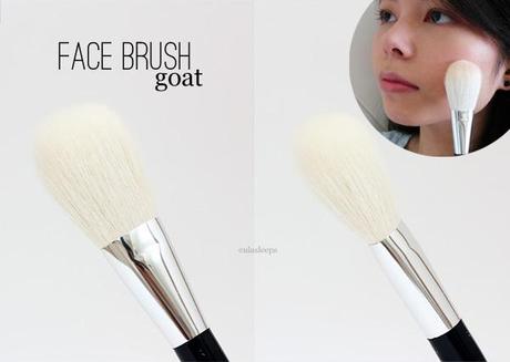 Shu Uemura Portable Brush Set Review