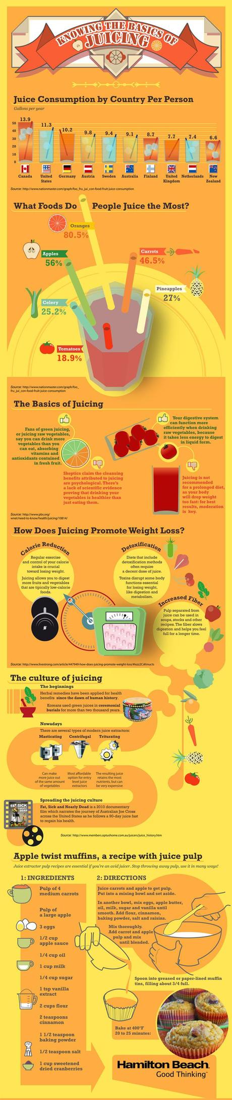 Knowing the Basics of Juicing